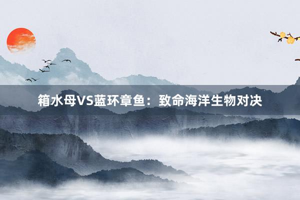 箱水母VS蓝环章鱼:致命海洋生物对决